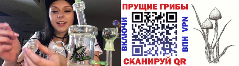 как найти   Белоярский  мега ССЫЛКА  Галлюциногенные грибы прущие грибы 